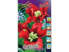 ������� ������ 21,6���. (�������� 2��).jpg