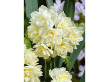 30,03���. ������� �������.jpg