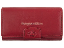 Tony Perotti Italico 331116/4