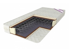 ������ ����