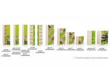 �����, ��������