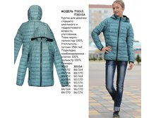 3010. ���� 1590 ���