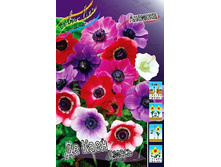 5,53���. ������� �� ���� �����(���������� ������ ������ ���������� �� 15 ��.).jpg