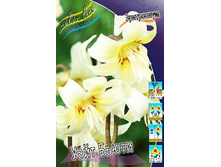 65,08���. ���������� ���� �����. (�������� 10��.)