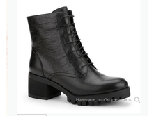 REN*8-17C*T-2/1 ������� ��� ������������, ���. ����, ������_80 ��