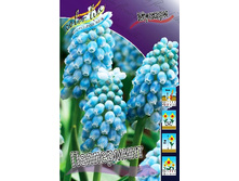 10,07���. ������� ����������(���������� ������ ������ ���������� �� 10 ��.).jpg