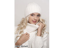 ����� ������ ����� 410