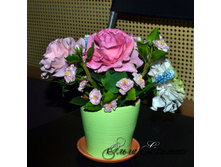 ���������� ������� ������.jpg