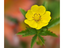 DSC 7187 ��������-(���������).jpg