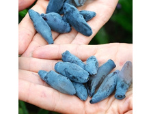 ��������� ������� �9-165�.jpg