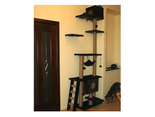 �� 5925 ��� �������� "���������" 230��