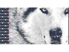 Husky ��������� ��������