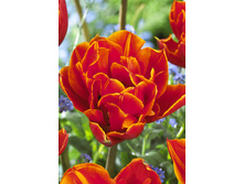 22,24���. ������� ���������(��� 10 ��. ���������� ������ 5��.)���15.jpg