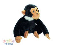 9939/WZ_������ ������� ���� Wiki Zoo �������� �/� 16 ��_423 ��� +%