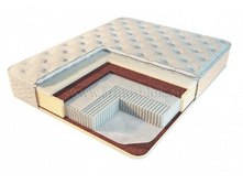 ������ ����