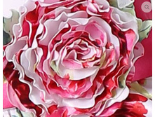 ����� ������ ����