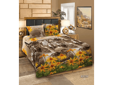 �������� ����� 81231.png