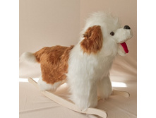 ������ �������.jpg