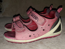 ���� Ecco 23�, 14.7��, 600���