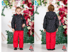 S 17 M262_3122 ���. // 3647 ���.