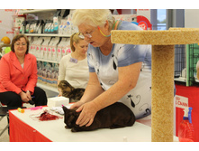 14231975 1102190066529712 4694142030330141039 o.jpg