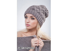 ����� ���� ��������.500