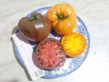 20160906 190427.jpg