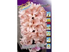 23,88���. ������� ������� ����(��� 5 ��. ���������� ������ 2 ��� 3 ��.).jpg