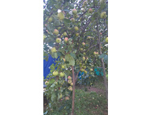 WP 20160907 16 57 57 Pro.jpg