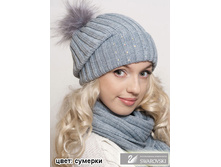 ������ ������ � �������� � �����. ������� 1060