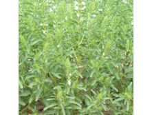 ������������-����������-������� 5,3 ���. - 0,5 ��..jpg