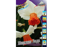 45,42���. ������� ������� ����(�������� ���� �� 5 ��., ����������� ����� 1��.).jpg