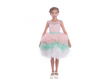 ������ DS*C7204.jpg