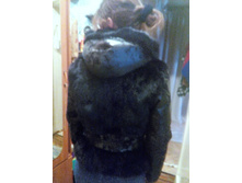 ��� �� ��� 2.jpg