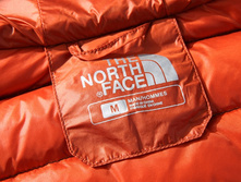 � ����.����