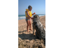 WP 20160907 10 36 12 Pro.jpg