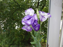 ������ � ������ 0,5�