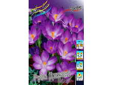 3,84���. ������ ���� ������ (����.)(���������� ������ ������ ���������� �� 15 ��.).jpg