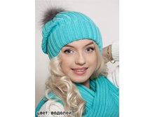 ������ ������ � �������� ������� 810