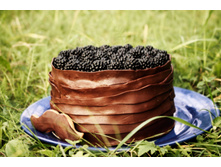 �������� � ���������� �����