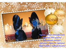 ������, ����� �����.jpg