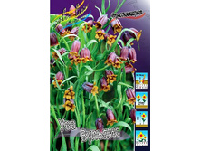 9,13���. ����������� ��� �������(���������� ������ ������ ���������� �� 10 ��.).jpg