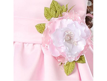 ����� ������ �������