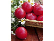 ����� ������ - 5,70 ���. - 0,2 ��.jpg