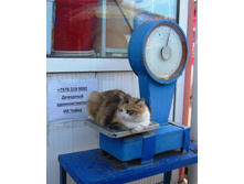 ������ ��������� �� ��������!