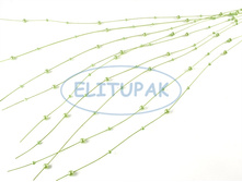 84333 ������ � ������� ������� ������ ������-��̣��� 110 �� (10 ��. � ����.) 143 ���.