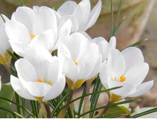 ������ ���� ���� 6-7 ������������ (25��) ������ ���� 198,07 ���. ����� ���� 168,36 ���.jpg