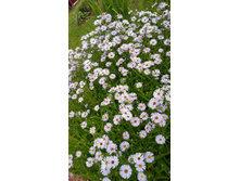 ��������������