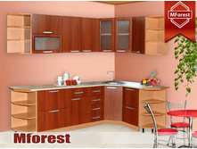 ������ 5