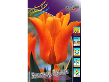 22,05���. ������� ������� �����(��� 10 ��. ���������� ������ 5��.).jpg